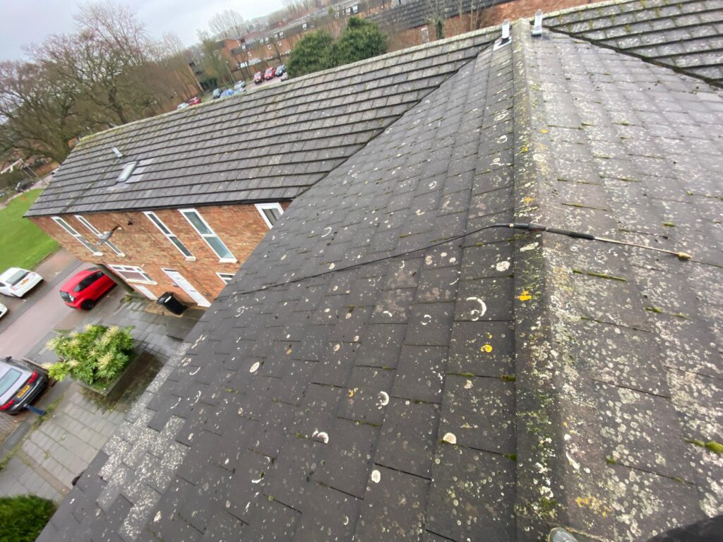 Professional roof cleaning service in West London removing moss and dirt