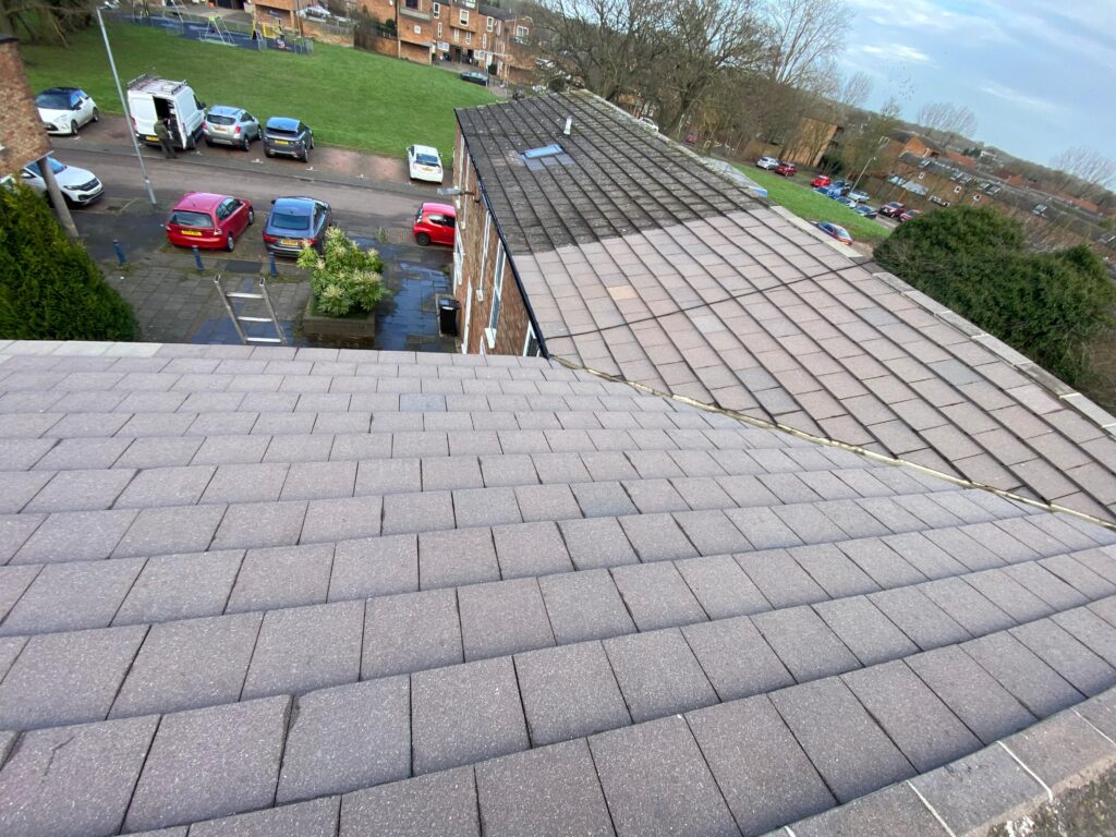 Professional roof cleaning service in West London removing moss and dirt